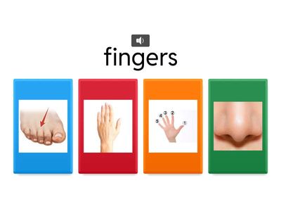 Parts of the body with audio 