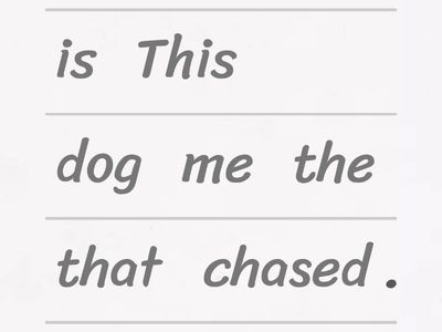 Relative Clauses Unjumble