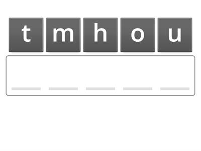 Digestive system parts
