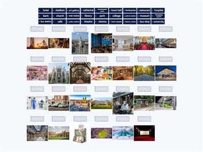 Insight Elementary Around town