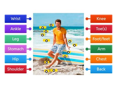 [1-2] Unit 12 - Parts of the body 1