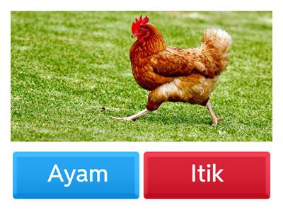 Kemahiran Membaca Tahap 1