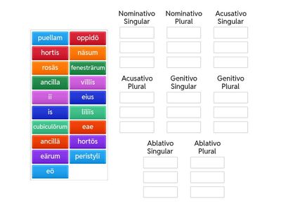 Pon las siguientes palabras en el grupo correspondiente.