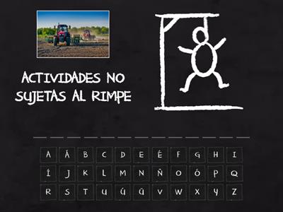 TEMA #6: RIMPE 