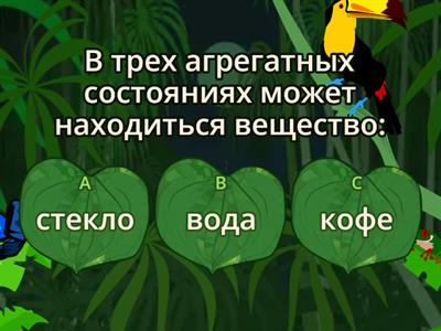 Викторина 5-6 класс география