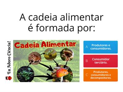  Cadeia alimentar - 4° Ano 