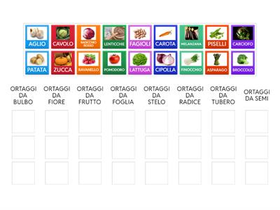 LA CLASSIFICAZIONE DEGLI ORTAGGI