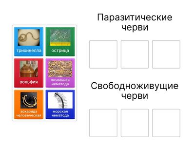 Круглые черви