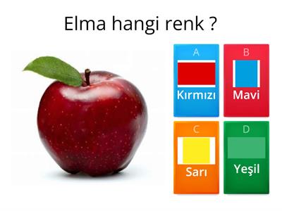 Özel Eğitim Renk Eşleştirme