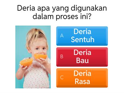 Kemahiran Proses Sains Tahun 1