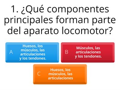 El aparato locomotor 