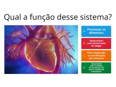 SISTEMAS DO CORPO HUMANO