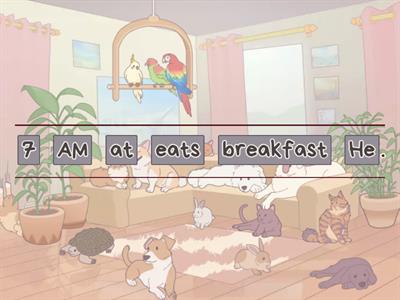 Present simple - Positive - Negative - Questions