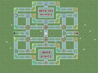 Changes to the Earth