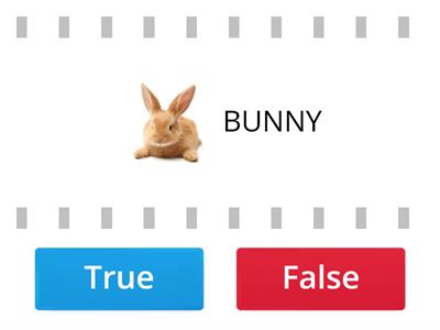 EASTER,true or false