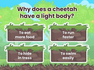 Understanding the function of information and main ideas