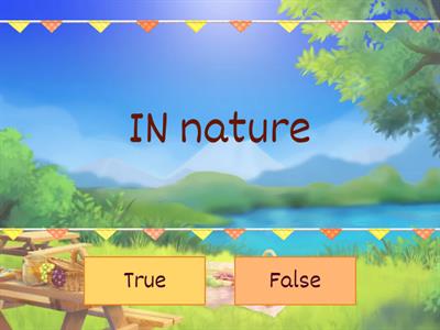 Fr Sprint True-False