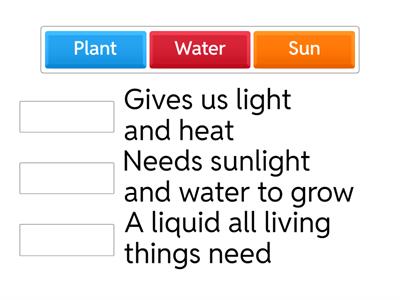 Match the definition to the word!