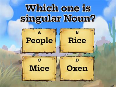 singular/plural NOUNS