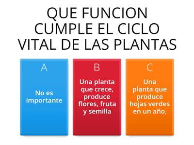 CICLO VITAL DE LAS PLANTAS 