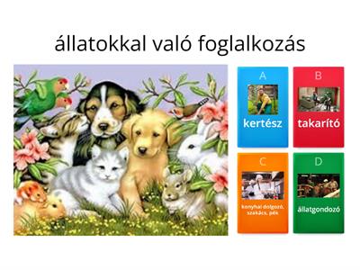 Érdeklődési körök - szakmák 