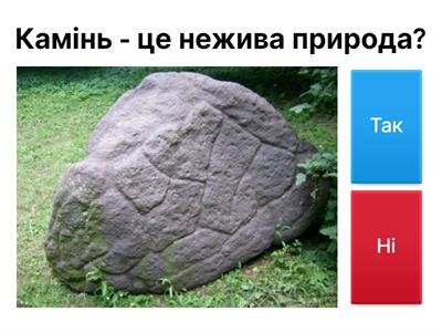 ЯДС (жива, нежива природа)