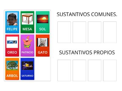 SUSTANTIVOS COMUNES Y PROPIOS 