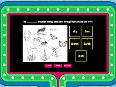 Ecosystems & Food Chains/Webs