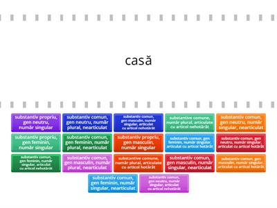 LLR - VI - Substantivul și articolul (Activitate diferențiată)