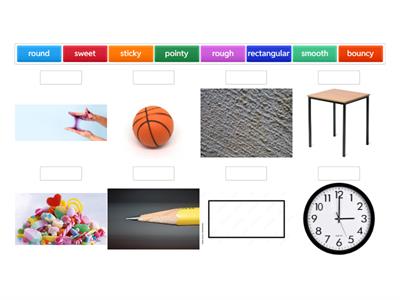 Descriptive Vocabulary