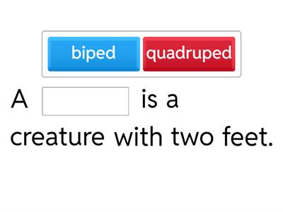 Ped = Foot Definitions 