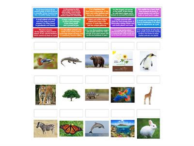 Latihan Report Text General Classification Kelas 9