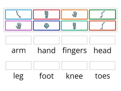 Parts of body - match the pictures with the words