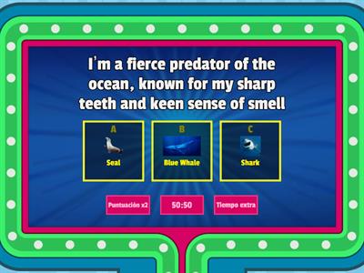 Ocean life vocab