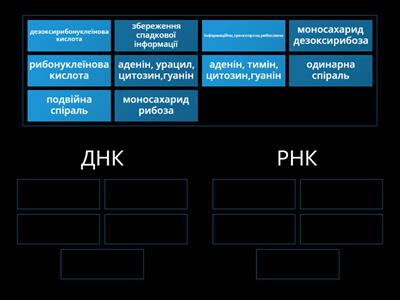 НУКЛЕЇНОВІ КИСЛОТИ. З ПОВАГОЮ, КАТЕРИНА ВОЛОБУЄВА.