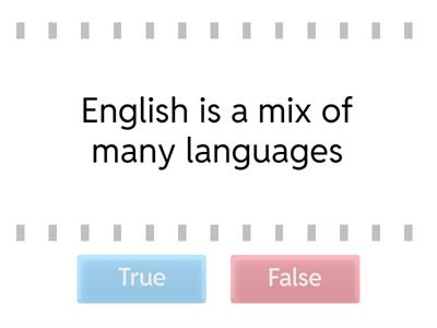 The English language and English class