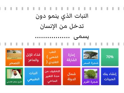 النباتات المعمرة في دولة الإمارات العربية المتحدة 