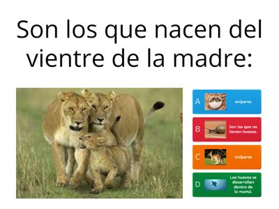 ¿Cómo se desarrollan los animales?