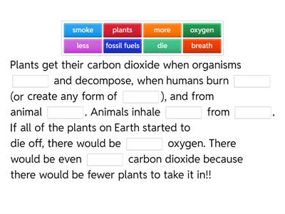 Importance of the Carbon Dioxide-Oxygen Cycle