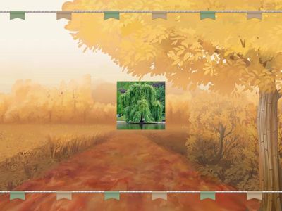 Україна Ейдетика 6