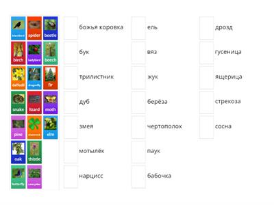 Английский язык 7 класс