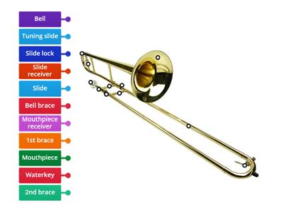 Trombone Anatomy