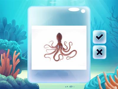  Морські мешканці