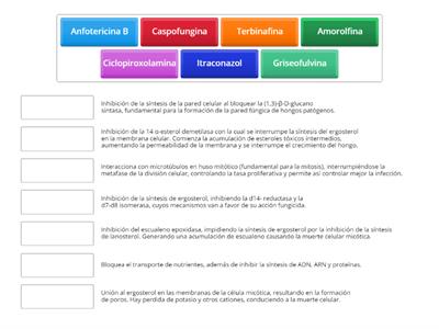 Antifúngicos y mecanismos de acción.