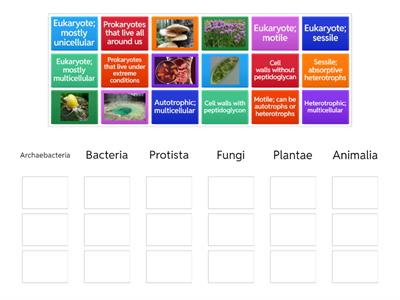 Classification Group Sort