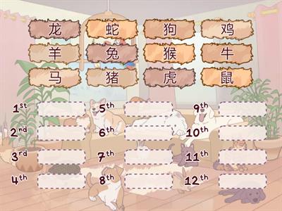 T1 sequence - zodiac