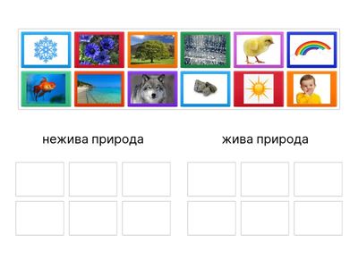 Жива і нежива природа