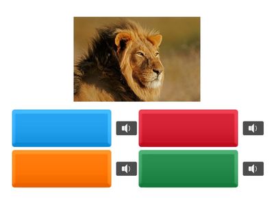 Year 2 English Activity - Animals (set 3)