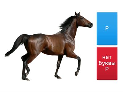 Автоматизация Р 