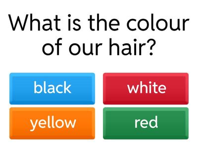 Choose the correct answer